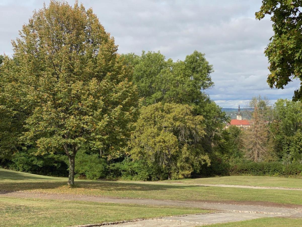 Ferienwohnung Micha'S Stadtblick Naumburg  Exteriör bild